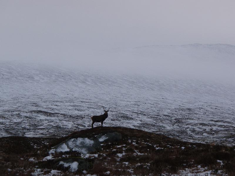 25th Dec 15 (34).JPG